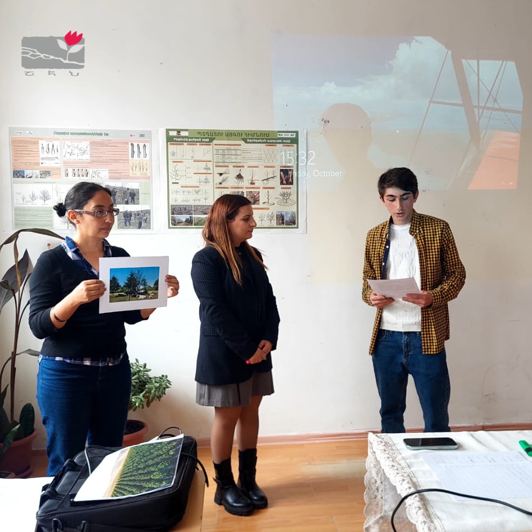 Նորություն 2